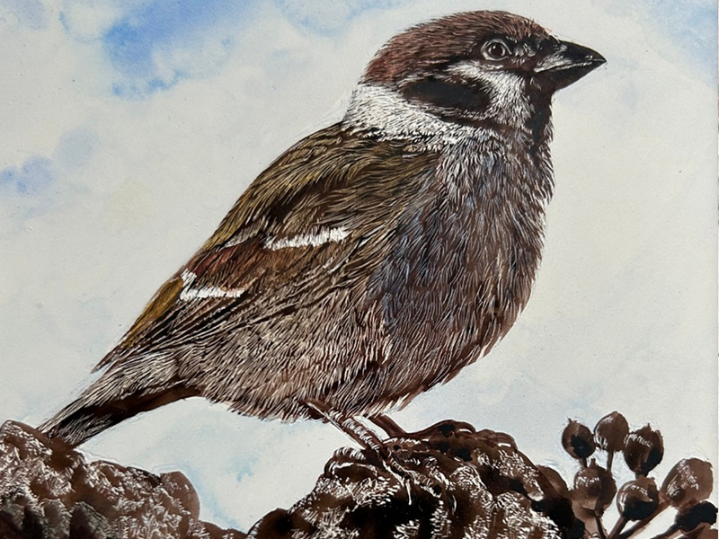 Arts and Crafts Workshops at Nature in Art