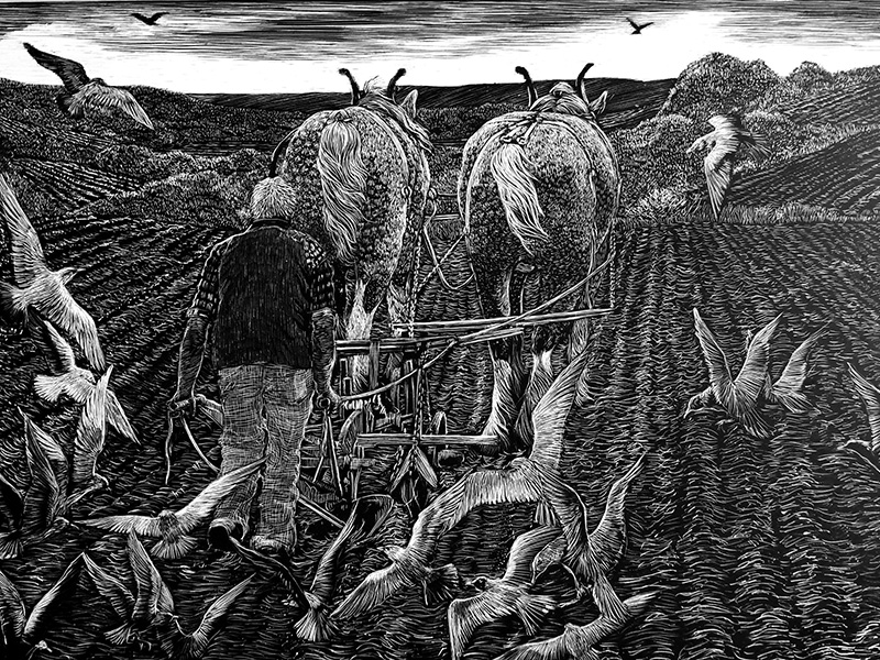 Arts and Crafts Workshops at Nature in Art