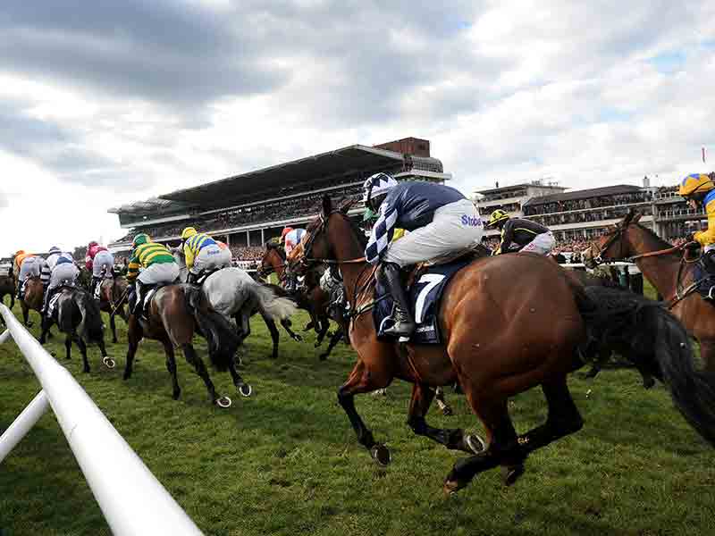 Cheltenham National Hunt Festival 2026