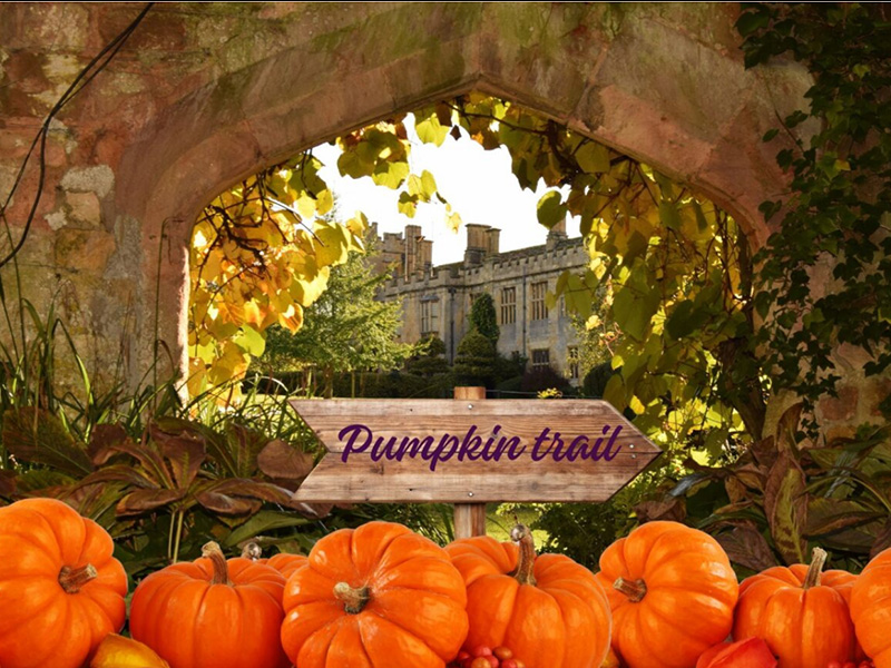 The Great Sudeley Pumpkin Trail