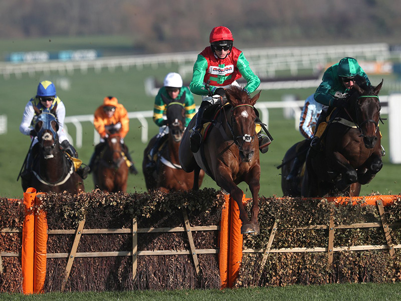 Racing at Cheltenham