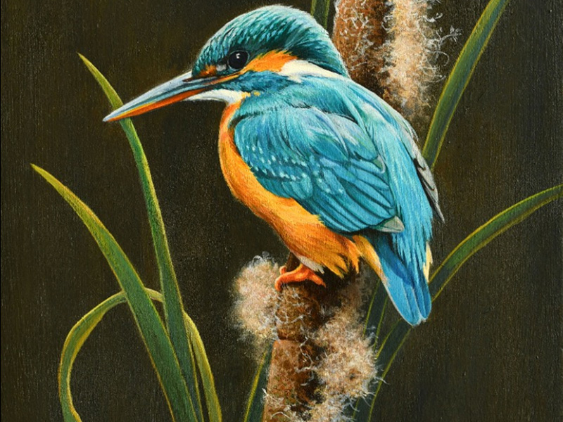 Art Courses at Nature in Art - Painting a Kingfisher on Bulrushes