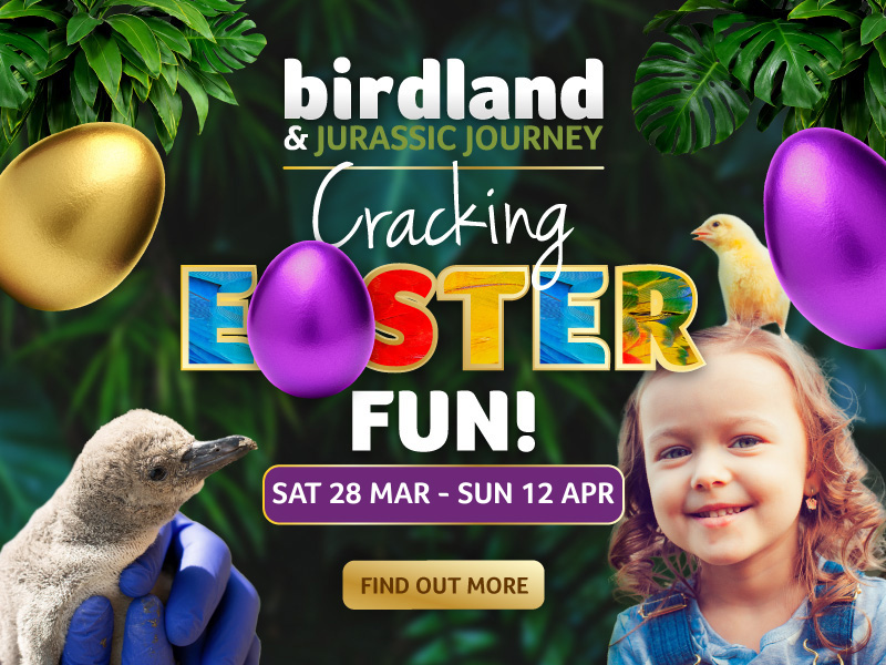 Easter Trail at Birdland Cotswolds