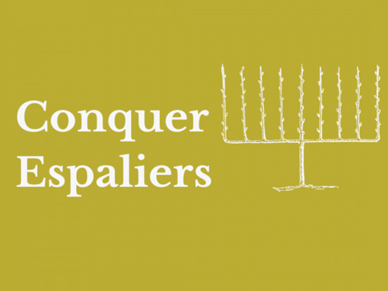 Gardening workshops at Painswick Rococo Gardens