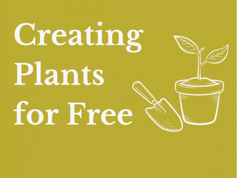 Gardening workshops at Painswick Rococo Gardens