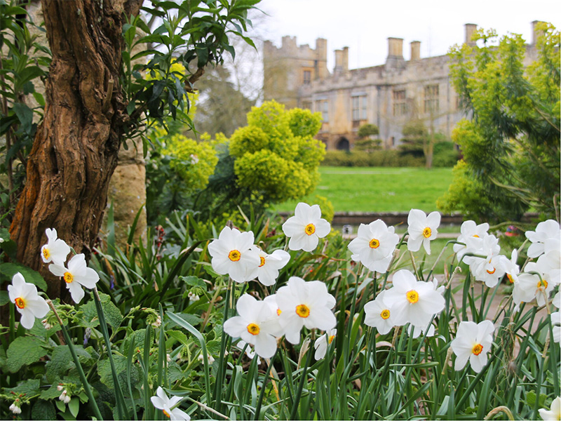 Spring at Sudeley Castle
