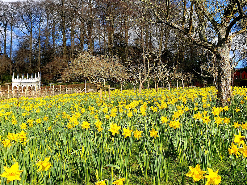 National Lottery Open Week at Painswick Rococo Garden