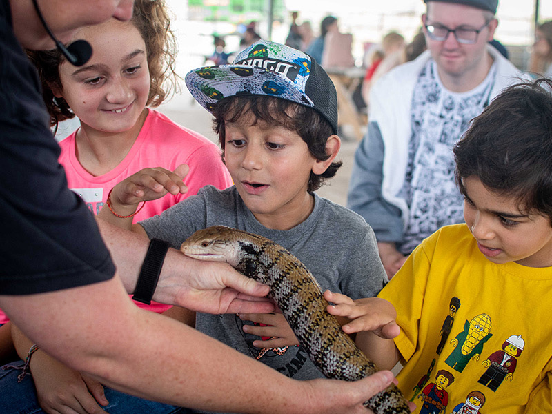 Wild Weekends at Over Farm