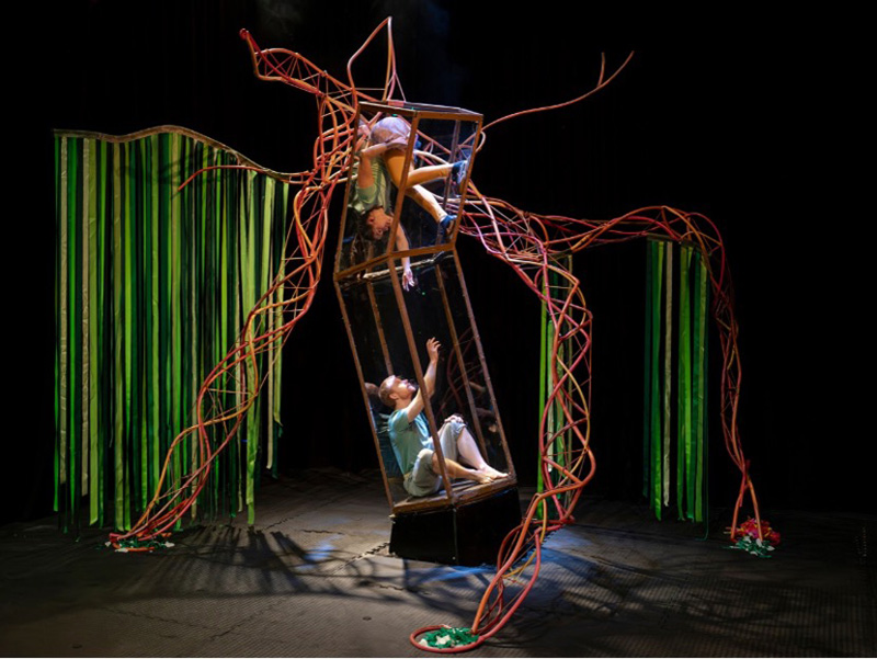 What's on at The Roses Theatre