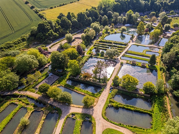 Bibury Trout Farm located in the heart of the Cotswolds 