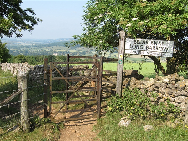 Photo: Robert Coldwell