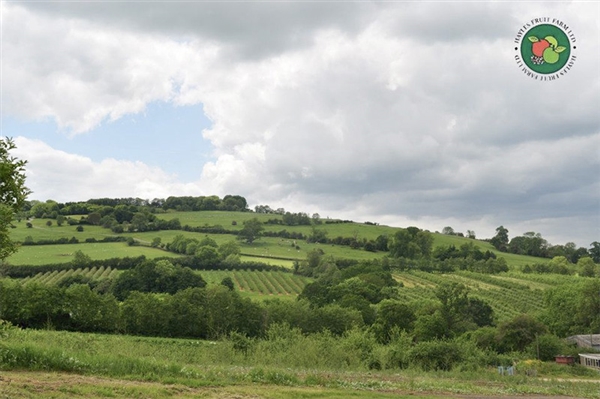 Hayles Fruit Farm near Winchcombe in the Cotswolds