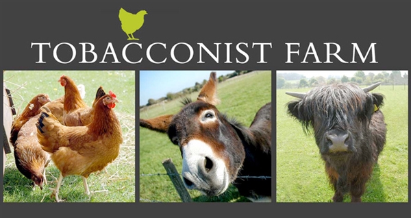 Tobacconist Farm at Minchinhampton near Stroud