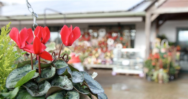 Pound Farm Shop & Plant Centre