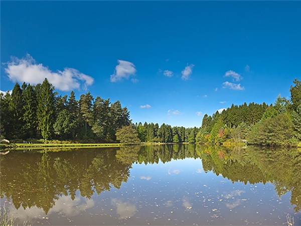 Explore the lake and winding forest paths at Mallards Pike