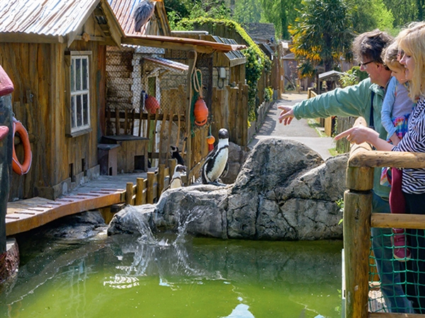 A visit to Birdland in the Cotswolds is a great day out