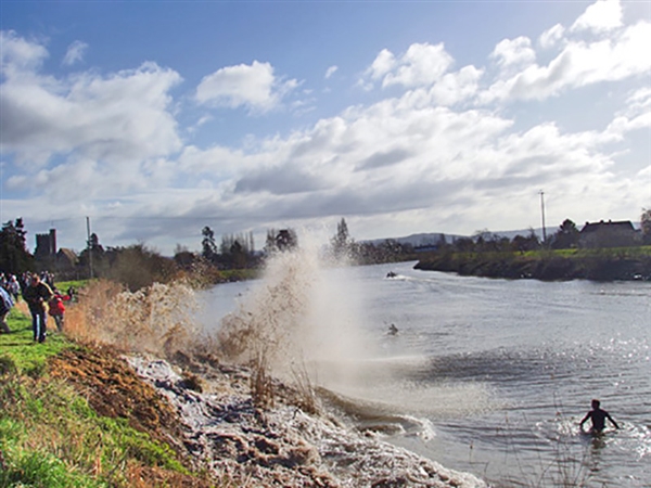 Severn Bore waves crashing at Minsterworth
