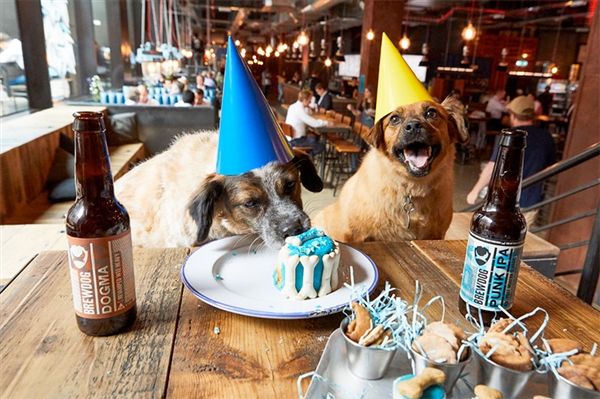 Dogs enjoying themselves at Brewdog at The Brewery Quarter