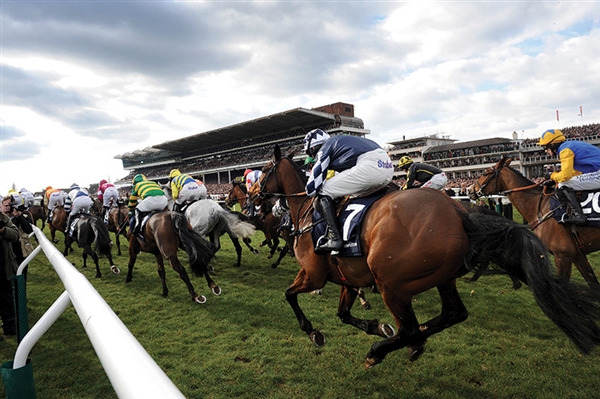 Celebrate the Cheltenham Gold Cup – the blue riband horse racing event of the year!