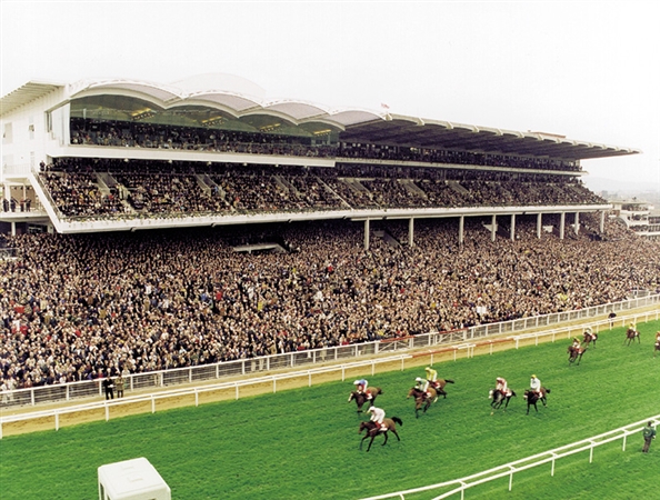 Celebrate the Cheltenham Gold Cup – the blue riband horse racing event of the year! 