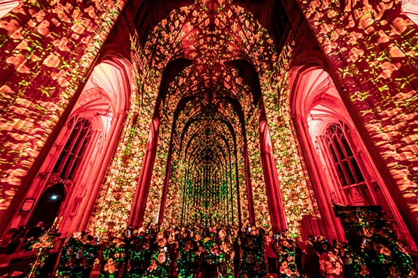 Poppy Fields light installation by Luxmuralis at Gloucester Cathedral