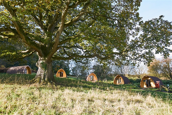 A row of Whitemead Forest Park glamping pods surrounded by the beauty of the Forest of Dean.