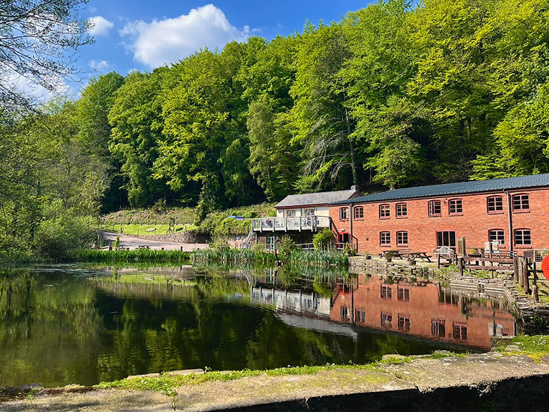 Dean Heritage Centre Forest of Dean