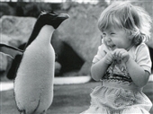 Girl with Rockhopper Penguin