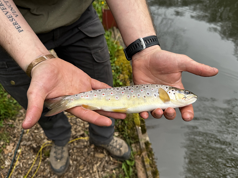Fly fishing at Ravens Nest in the Wye Valley