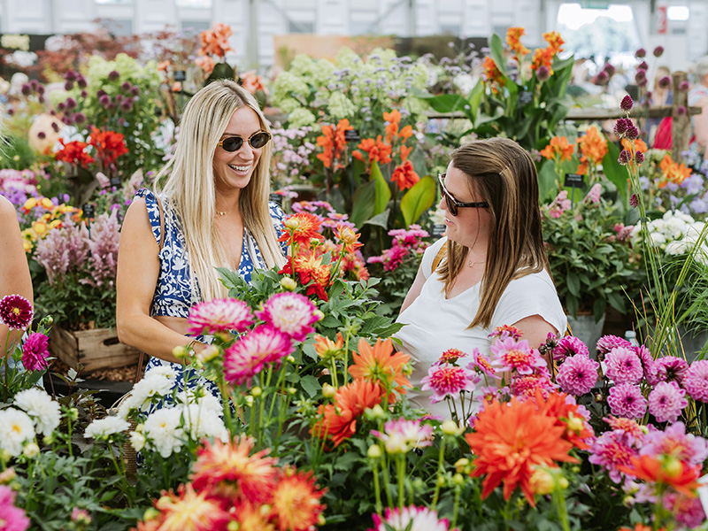 Visitors enjoying RHS Badminton Flower Show
