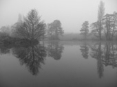 Woolaston Court Trout Lake by Clive Coleman