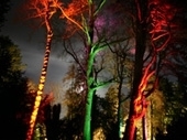 Enchanted Westonbirt