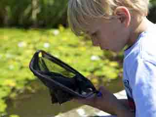 Events at WWT Slimbridge