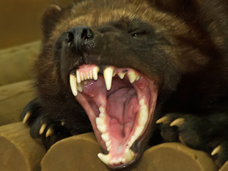 Halloween events in Gloucestershire