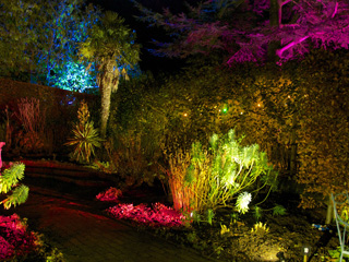 Enchanted evenings at Hidcote