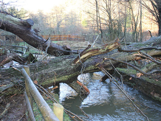 Dean Heritage Centre news