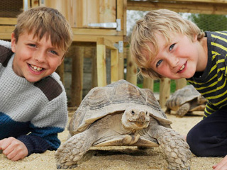 Summer Fun at Birdland Park & Gardens