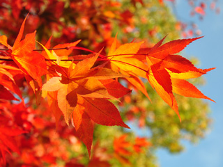 Planning ahead: Thought about an autumn break in Gloucestershire?