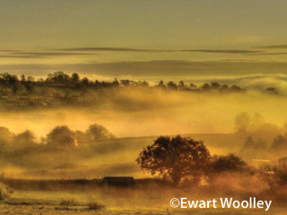 New Photography Exhibition highlighting the Forest of Dean
