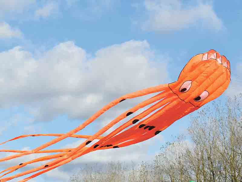 Kite day at Taurus Crafts