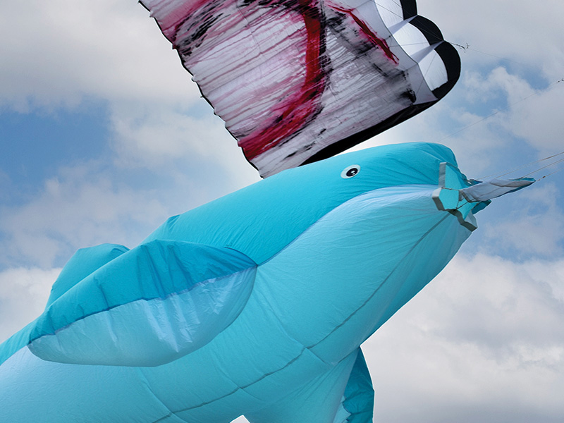 Kite Day at Taurus Crafts