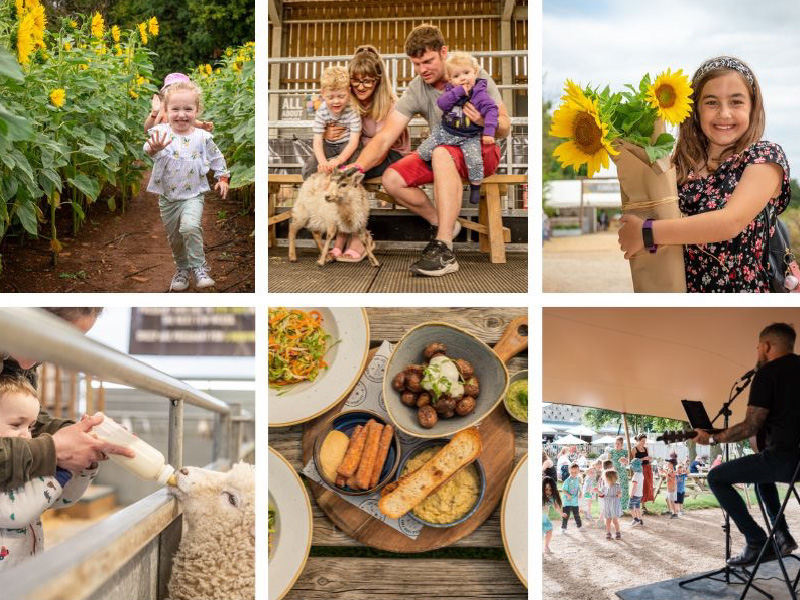 Summer at Cotswold Farm Park