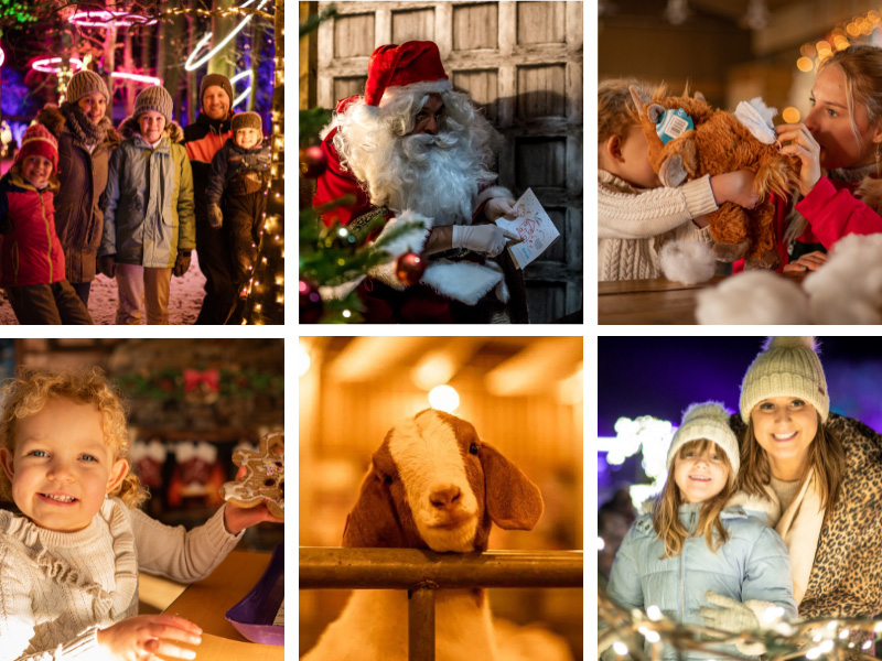 Cotswold Farm Park Enchanted Light Trail