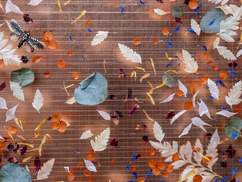 Art Exhibitions at Sudeley Castle