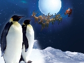 Father Christmas at Birdland Park & Gardens