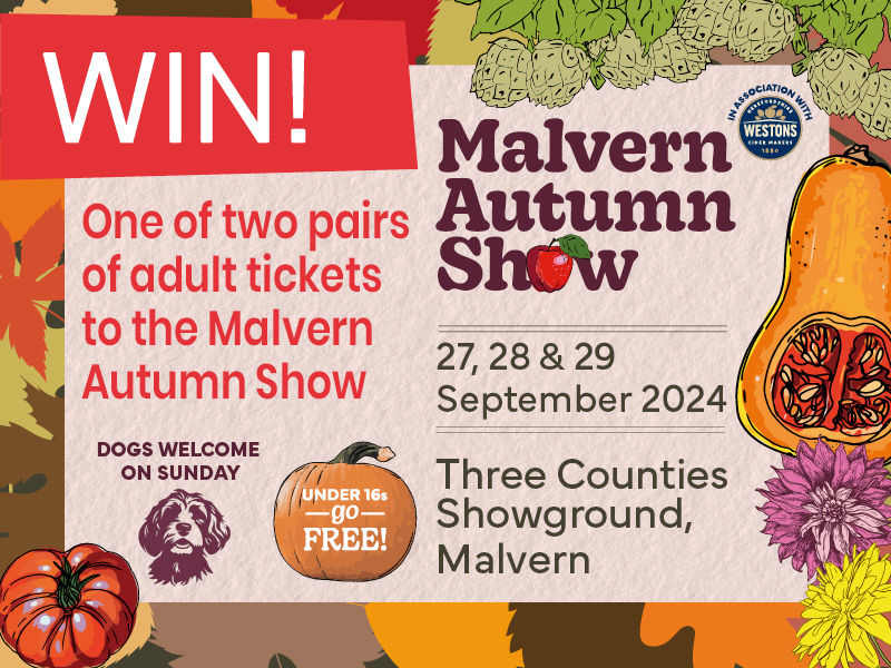 Malvern Autumn Show 2024