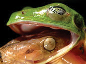 Events at Nature in Art