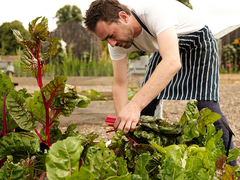 Roots & Seeds Food Dock Gloucester