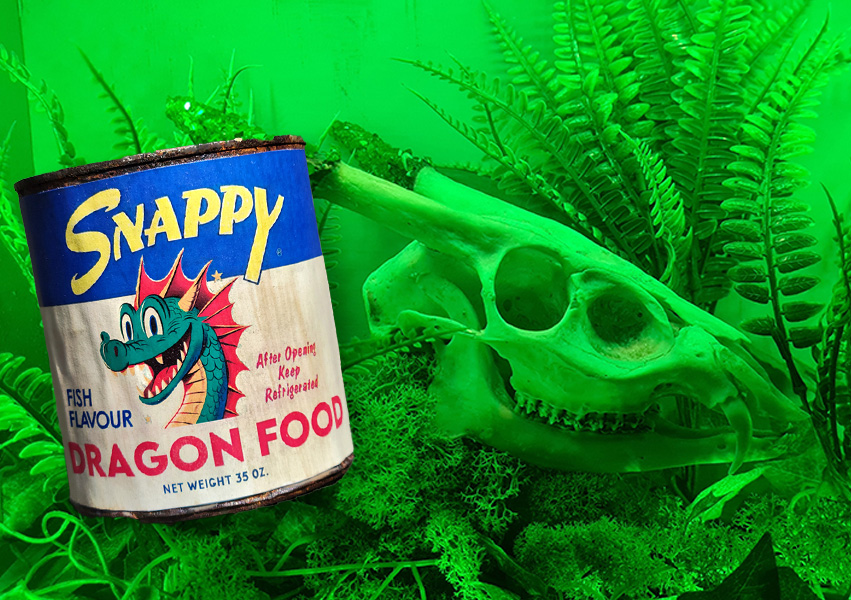 Dragons at Painswick Rococo