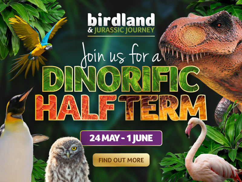 Dinorific at Birdland Park & Gardens